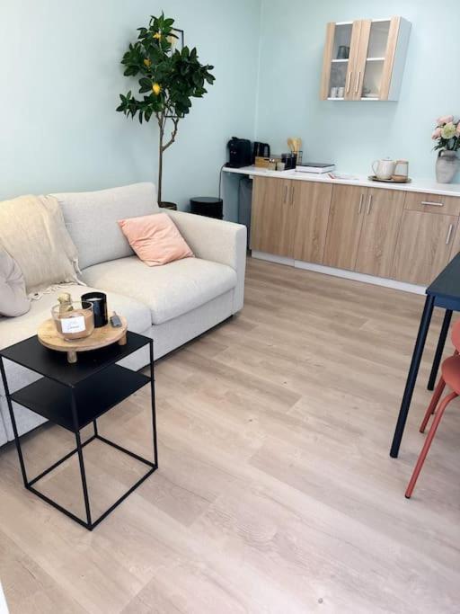 Wellness Studio Tiel Met Sauna En Jacuzzi מראה חיצוני תמונה